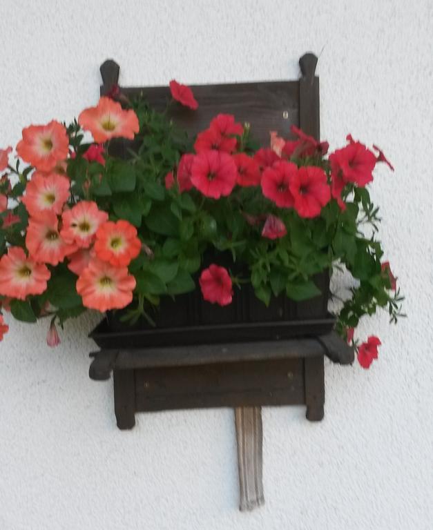 Waldschoenau Kirchbichl Buitenkant foto